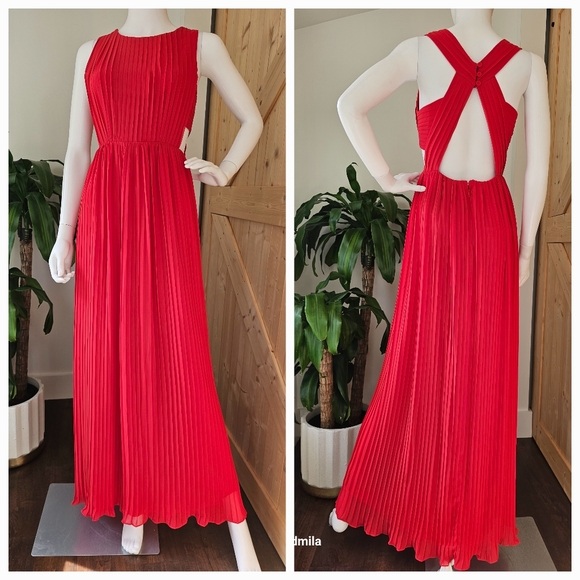 BCBGMaxazria Size 2 Women's Pleated Red Maxi Dress With Partially Open Back - Picture 1 of 13
